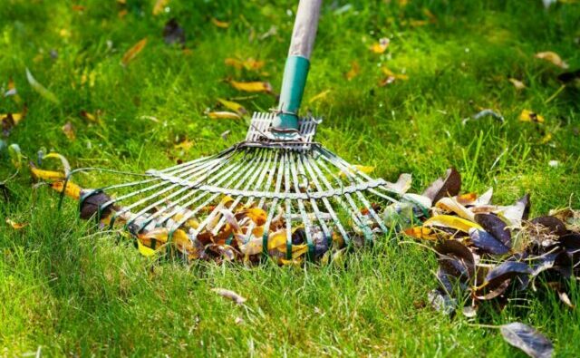 Professional yard cleanup service for fall and spring. We'll clean your beautiful yard all up and have it looking nice again in no time.